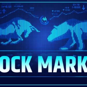 VIVEK BINDRA STOCK MARKET COURSE