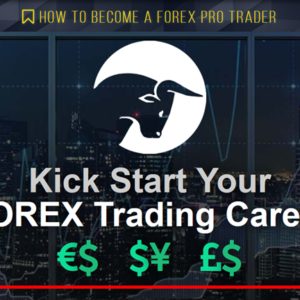 Live Traders - How To Become A Forex Pro Trader